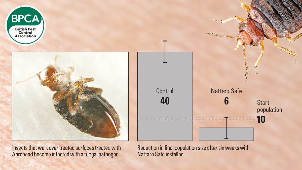 bugging c3 bugging c3